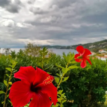 Anna Apartament *