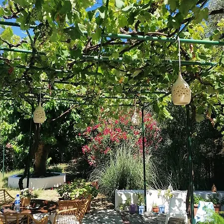 Anna Мегали-Аммос