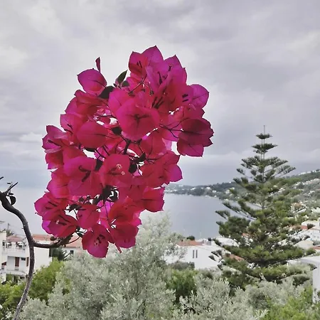 Anna Apartament Megali Ammos (Skiathos)