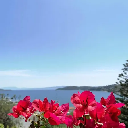 Anna Apartament Megali Ammos (Skiathos)