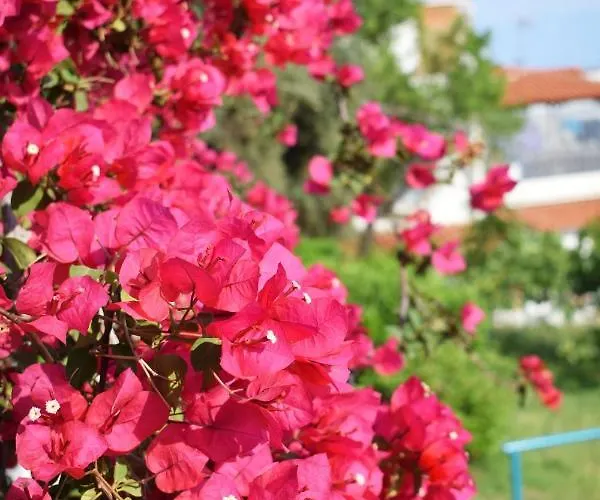 Anna * Megali Ammos (Skiathos)